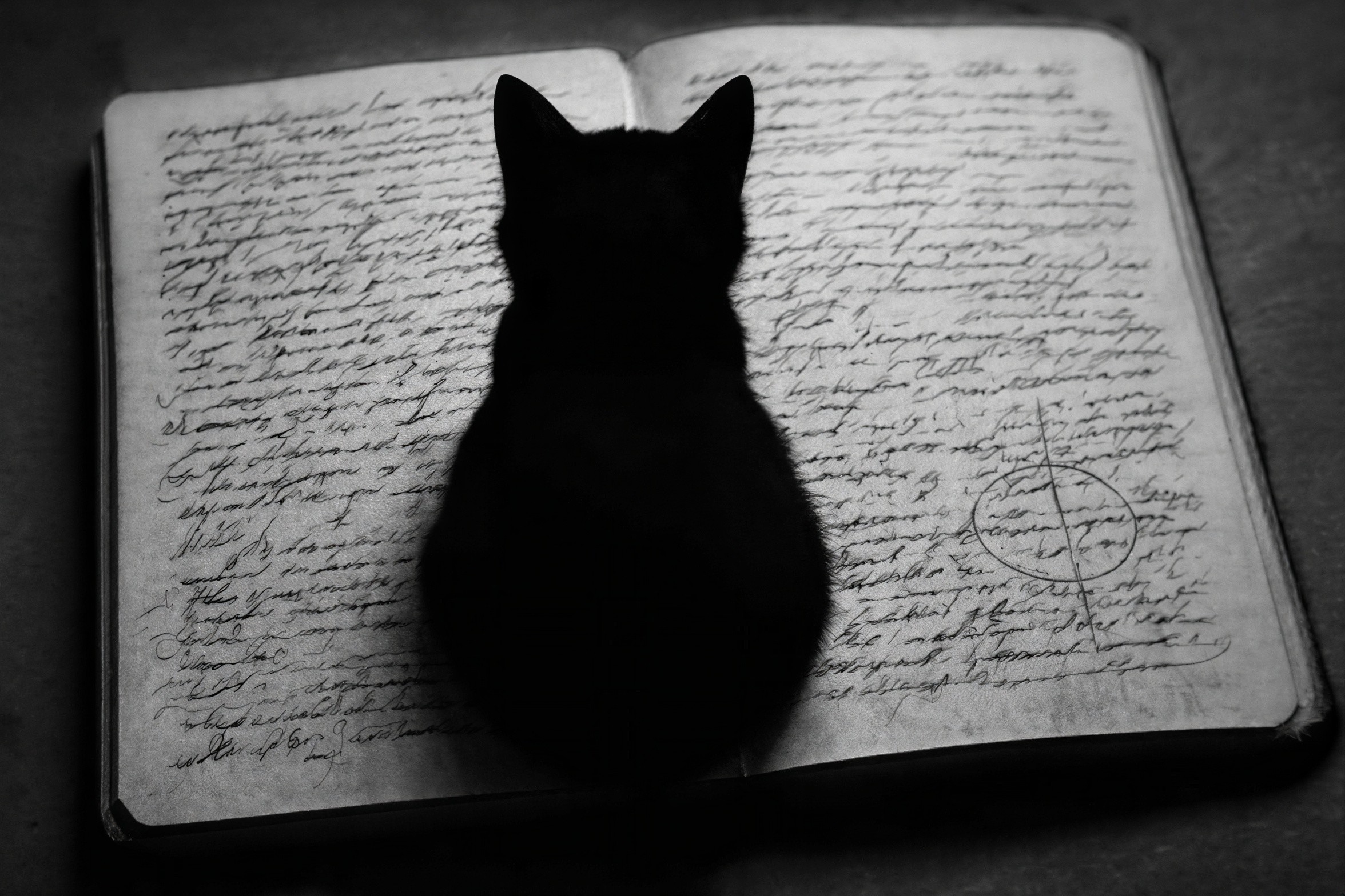 A Cat's Perspective on a Writer's Chaos (ChatGPT Full Base)