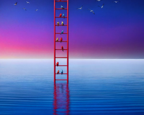 Red Ladder in Tranquil Waters at Dusk