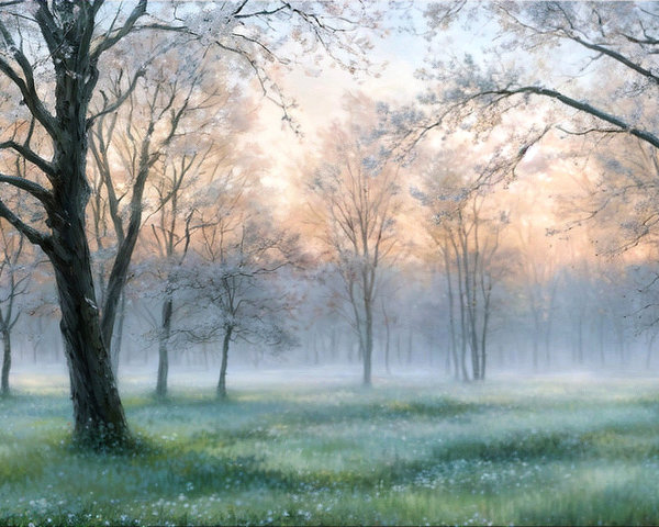 Serene winter landscape with frosted trees and mist