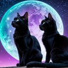 Black Cats Under a Full Moon in Starry Sky