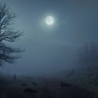 Desolate Landscape Under Full Moon and Foggy Terrain