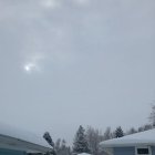 Winter Landscape with Light and Snow-Covered Trees