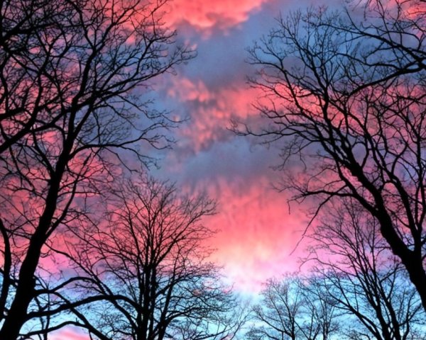 Vibrant Sunset with Pink and Purple Sky Colors