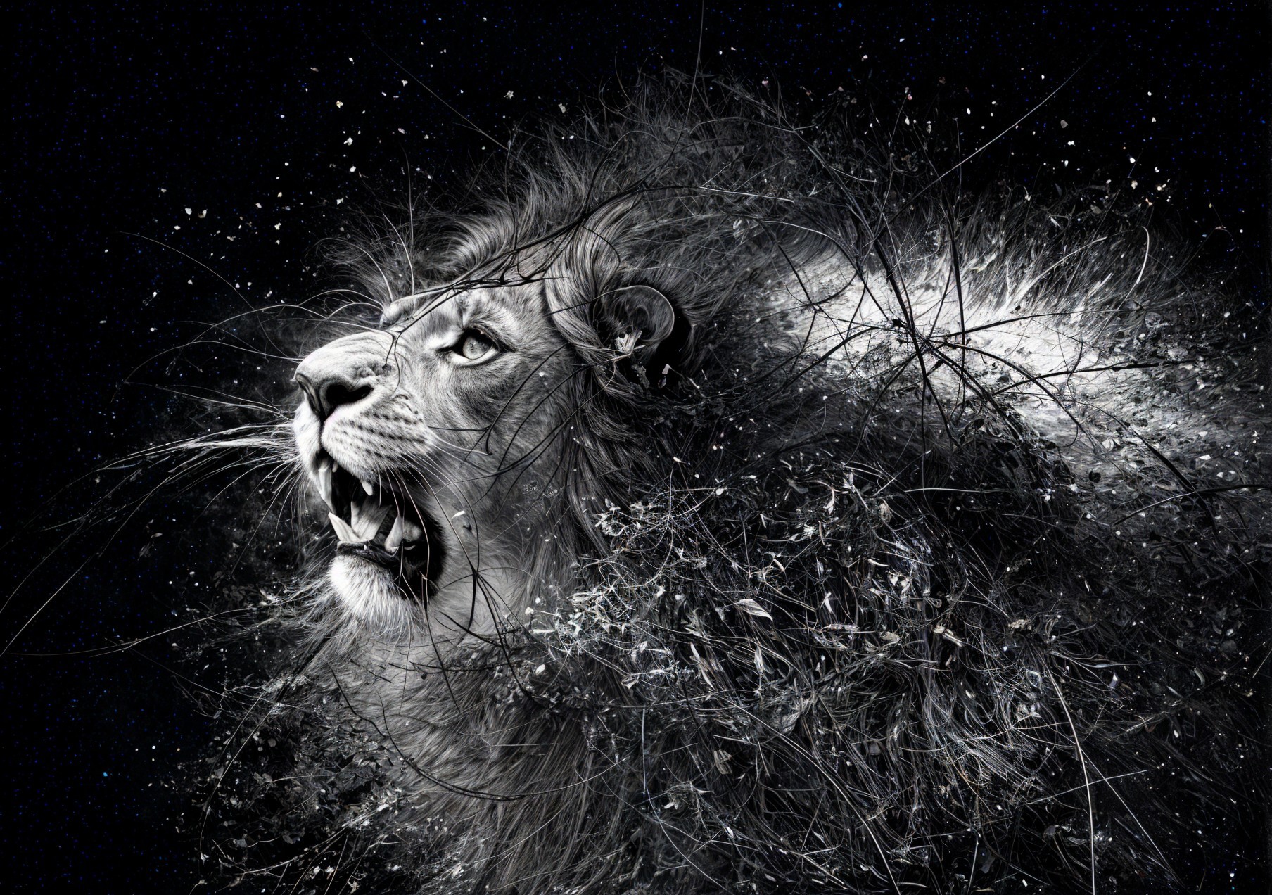 Black and White Lion Head with Intricate Mane Details