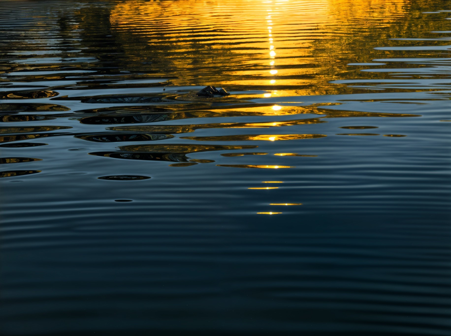 Serene Water Surface with Golden Sunset Reflections
