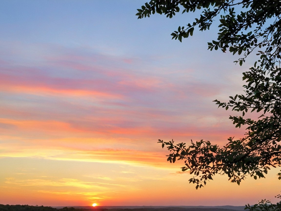 Vibrant Sunset with Silhouetted Branch and Tranquil Horizon
