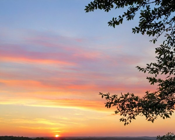 Vibrant Sunset with Silhouetted Branch and Tranquil Horizon