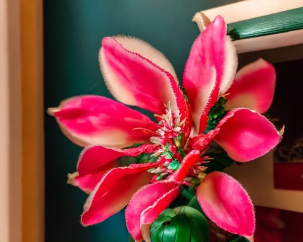 Vibrant Pink Flower with Cream Edges and Green Background