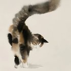 Whimsical Watercolor Illustration of a Calico Cat