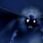 Surreal Dark Landscape with Mysterious Figure and Fog