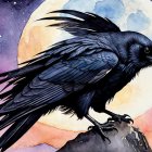 Black Raven on Rocky Perch Under Full Moon Glow