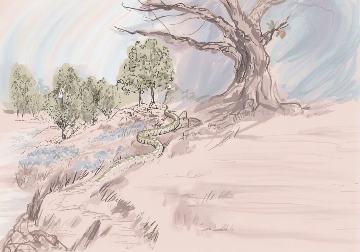 Scenic Landscape with Winding Path and River