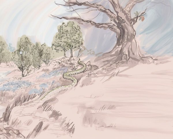 Scenic Landscape with Winding Path and River
