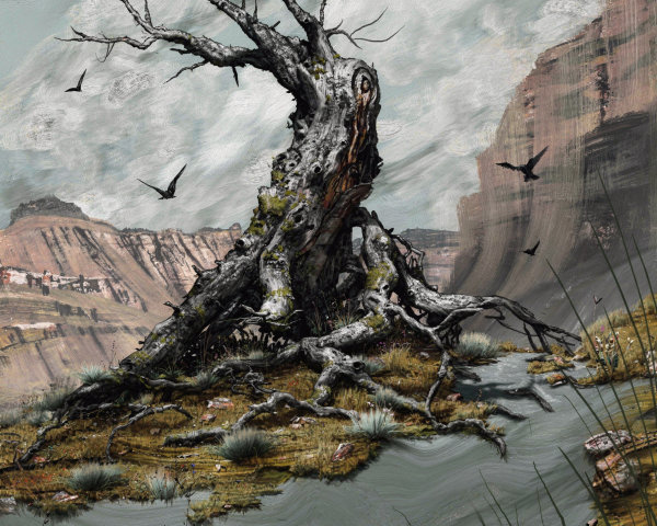 Ancient Dead Tree Overlooking Stormy Canyon Scene