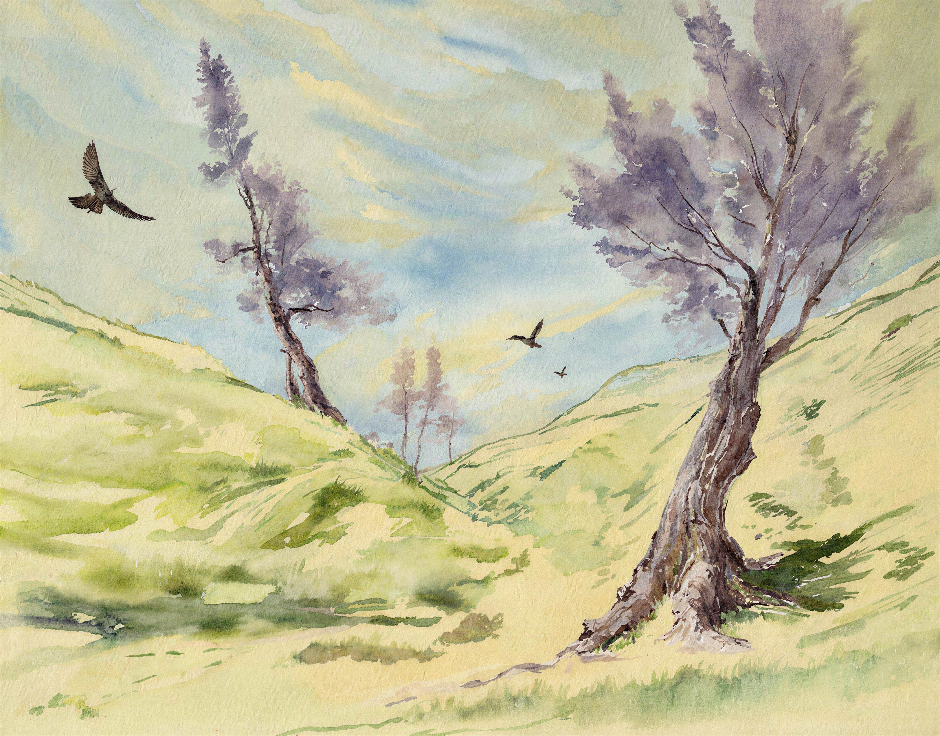 Watercolor Painting of a Valley Landscape with Trees