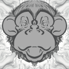 Vibrant Abstract Monkey Face with Colorful Patterns