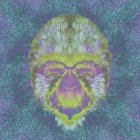 Abstract Gorillas Face with Vibrant Colors and Textures