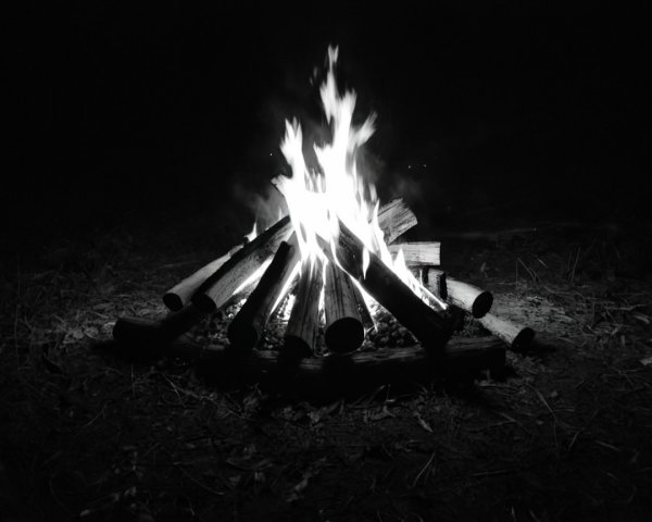 Cozy Campfire Scene with Vibrant Flames and Logs