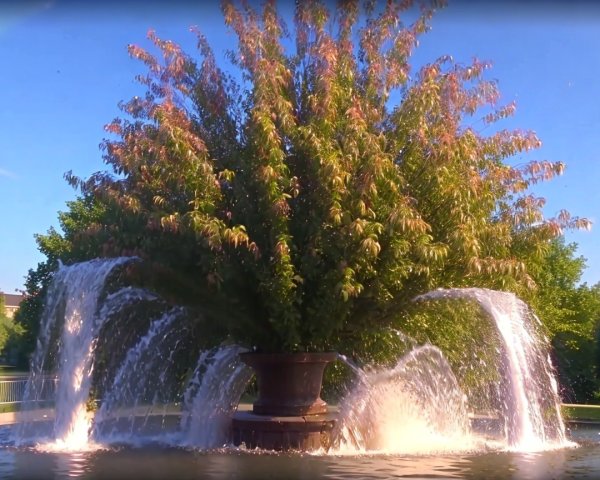 Grand Fountain with Tree and Cascading Water in Park