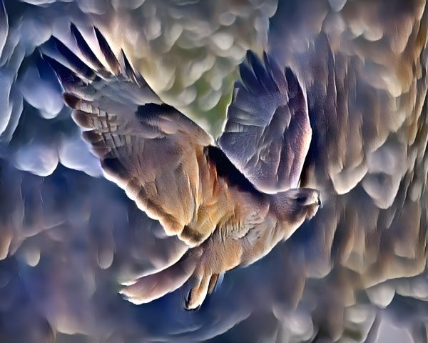 Majestic Bird in Flight with Earthy Feather Tones