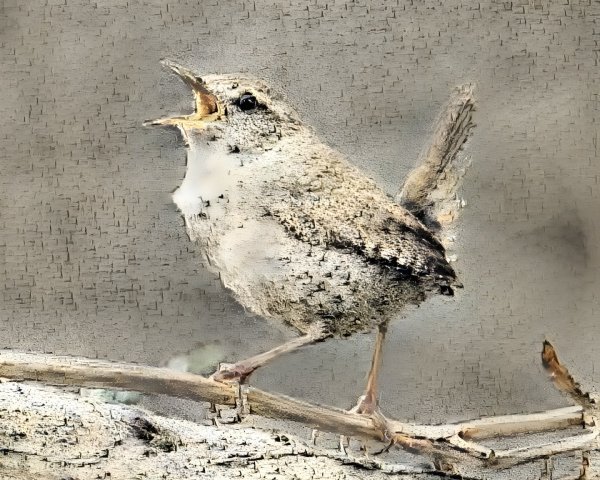 Speckled Brown Bird Perched on a Branch