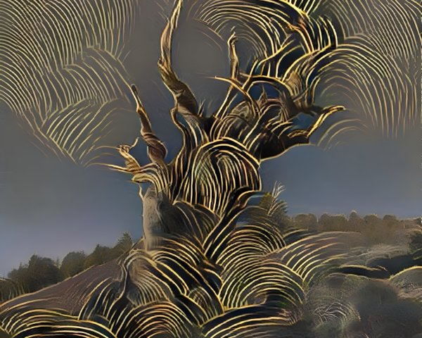Ancient Tree in Dynamic Landscape with Rugged Terrain