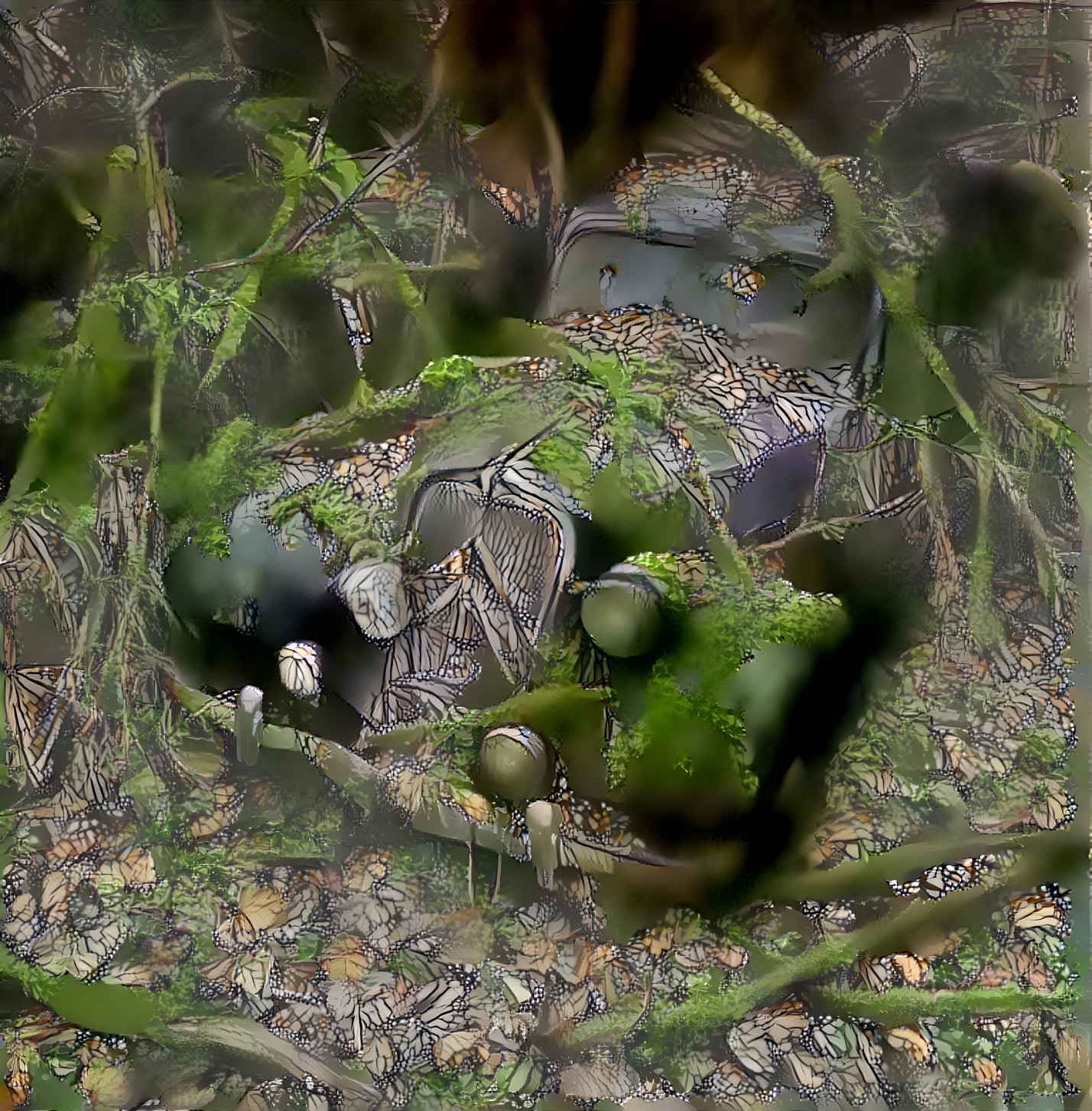 Abandoned Car Overgrown with Greenery and Moss