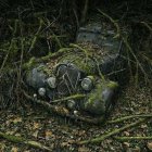 Abandoned Car Overgrown with Greenery and Moss