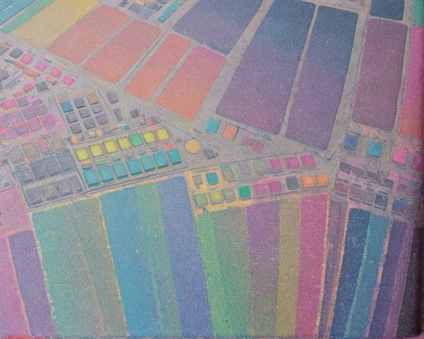 Aerial View of Colorful Agricultural Fields and Patterns
