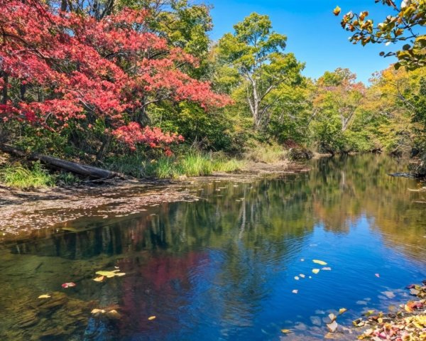 Serene River in Vibrant Autumn Landscape