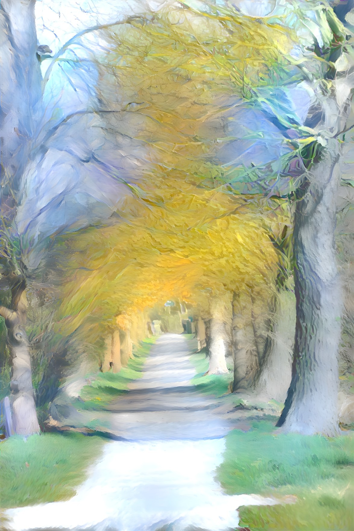Vibrant Yellow Trees Along a Serene Pathway