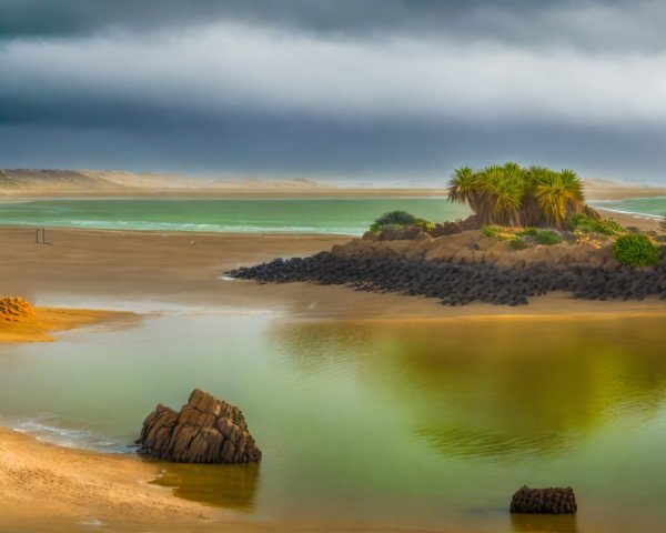 Serene Coastal Scene with Island and Lush Palm Trees