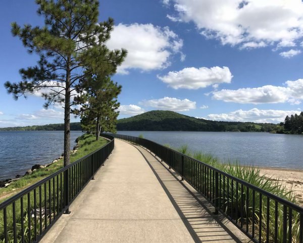 Scenic Pathway by Tranquil Water Under Blue Sky