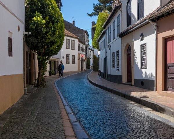 Charming Cobblestone Street in a Quaint Village