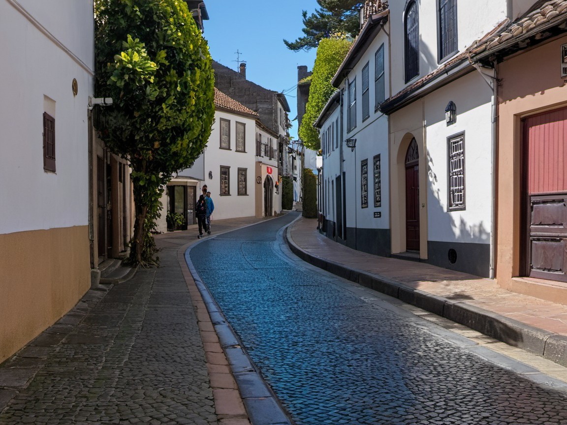 Charming Cobblestone Street in a Quaint Village