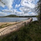 Serene Lakeside View with Lush Greenery and Flowers