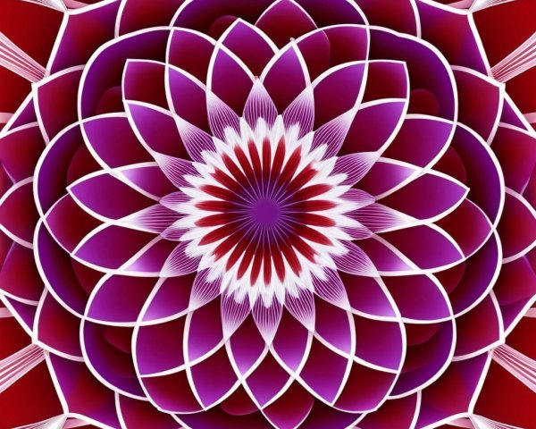 Vibrant Symmetrical Flower Design in Deep Colors
