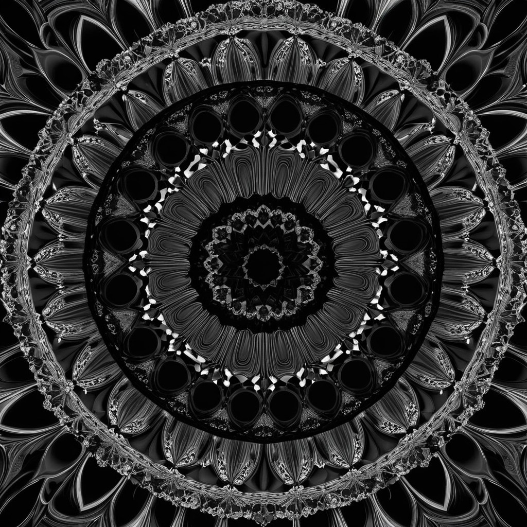 Black and White Circular Pattern with Intricate Designs