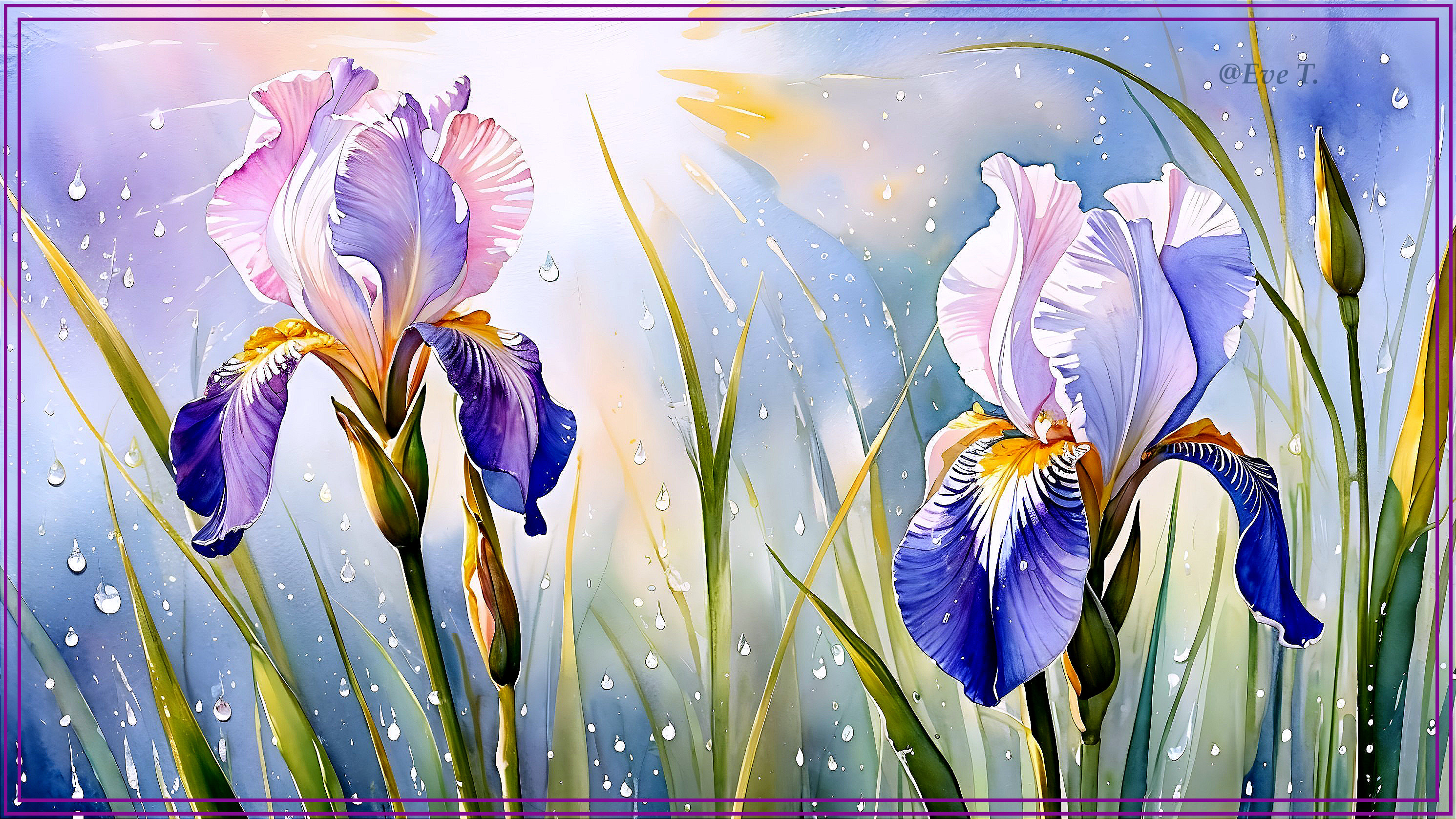Elegant Irises with Pink and Blue Petals in Spring Scene