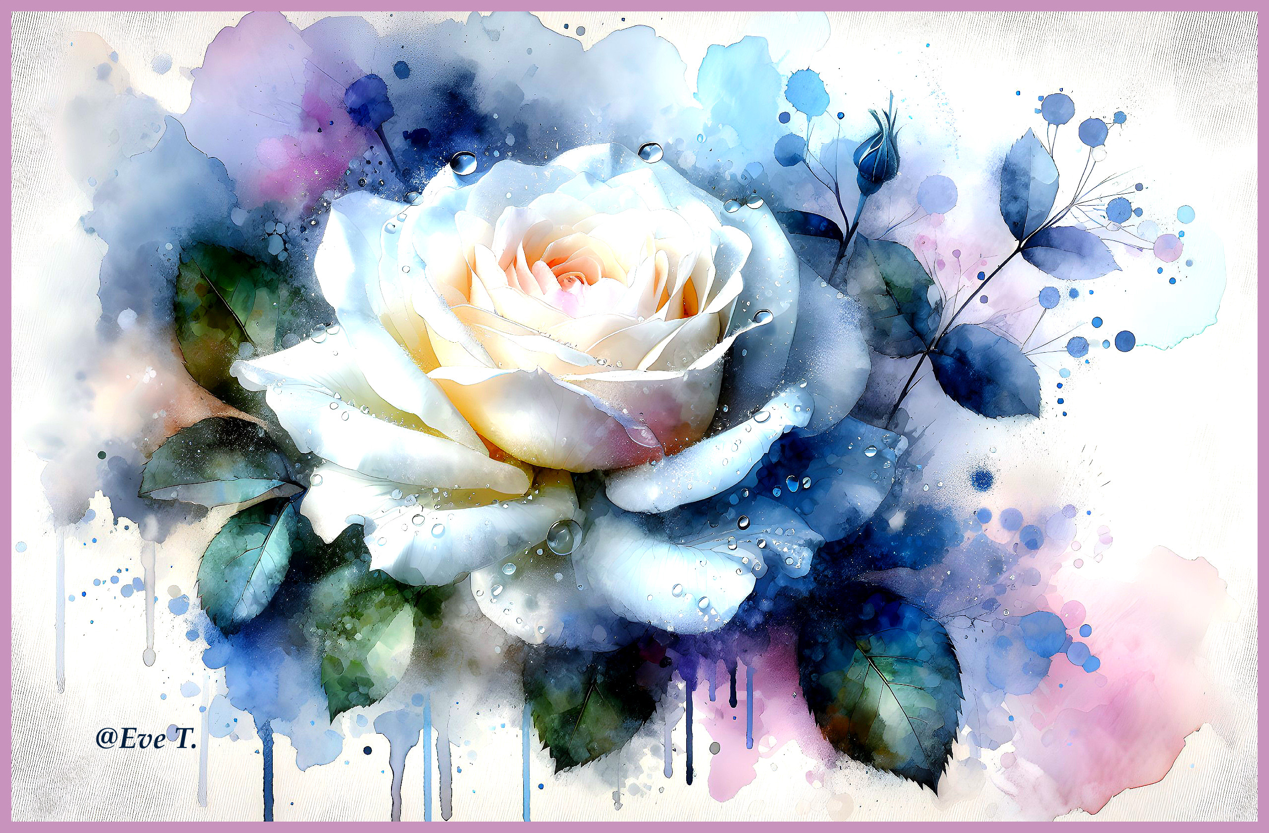 Watercolor Illustration of a White Rose with Hues