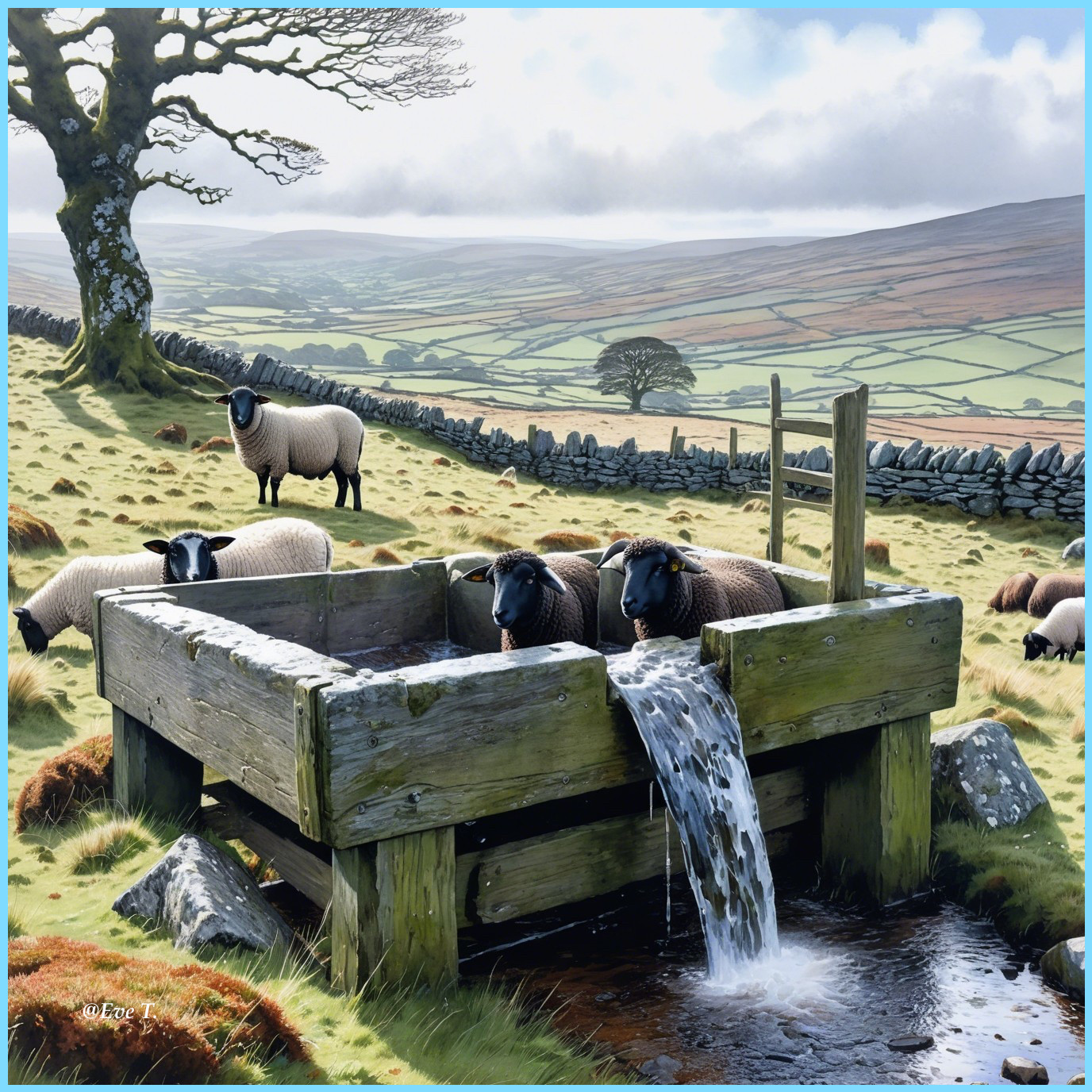 Idyllic rural scene with sheep and flowing water