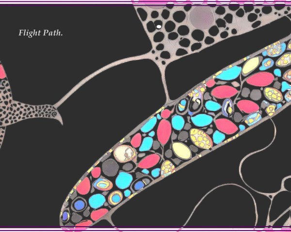 Abstract Design of a Bird in Flight with Colors