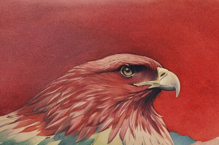 Majestic bird illustration with detailed red and white feathers