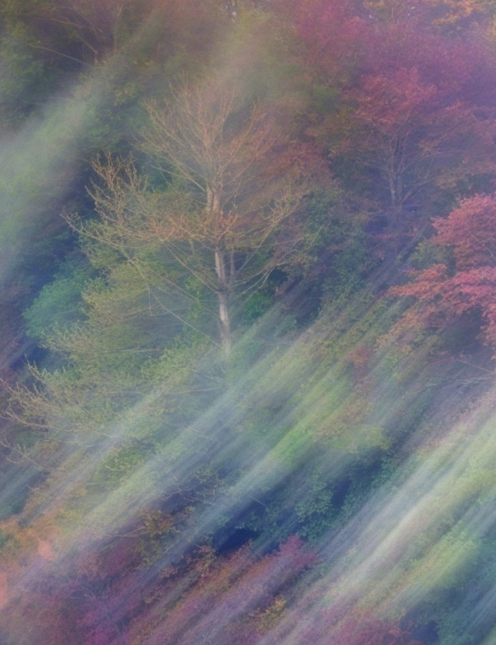 Serene Landscape with Mist and Ethereal Hues