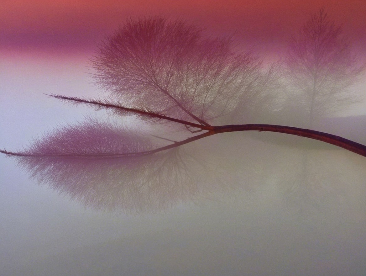 Serene Landscape with Bare Branches and Misty Sky
