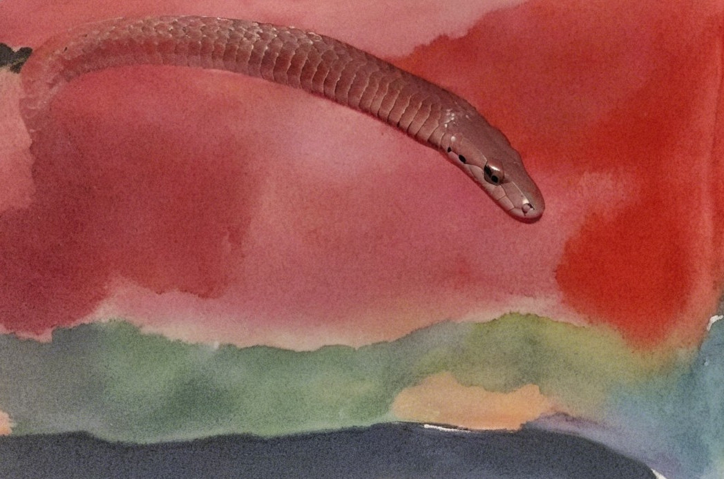 Slender Snake on Vibrant Watercolor Background