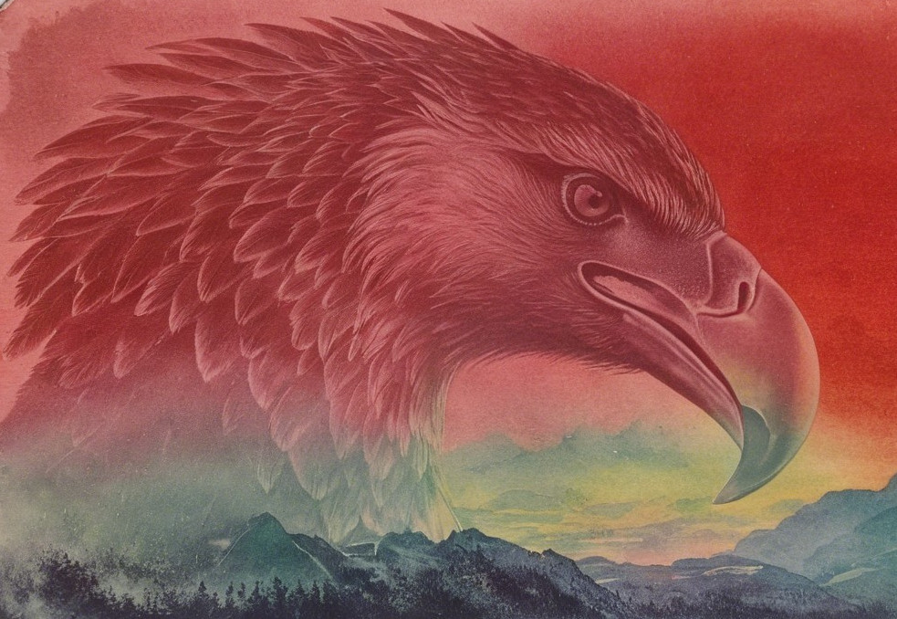 Eagle Head Against Vibrant Gradient Sky and Mountains