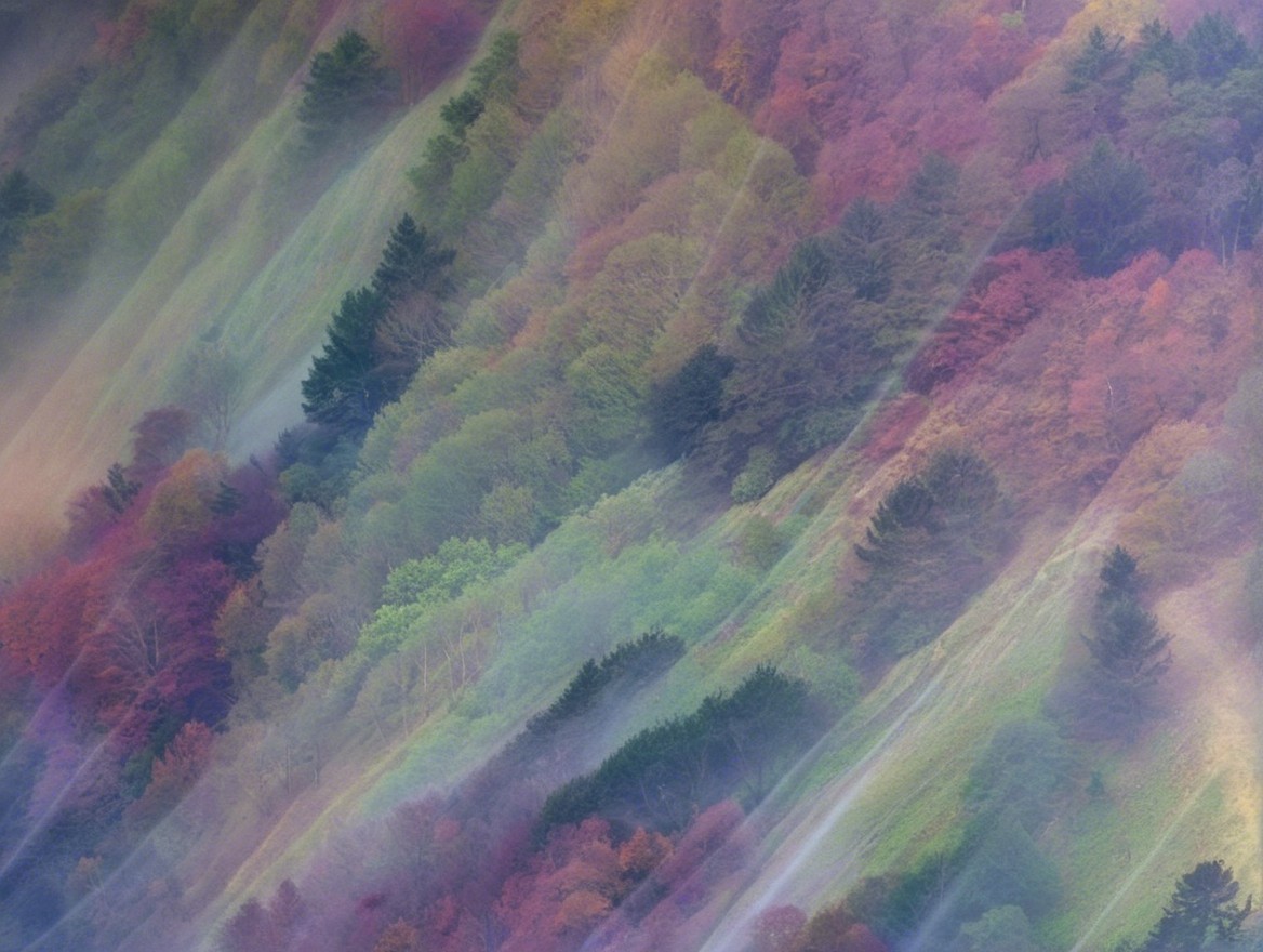 Autumn Landscape with Rolling Hills and Vibrant Colors