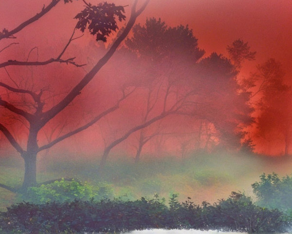 Misty Landscape with Silhouetted Trees and Fog