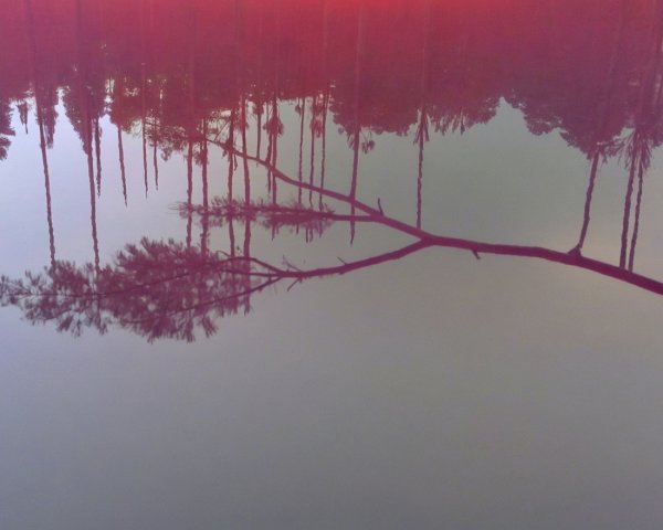 Serene Landscape with Reflections in Still Water